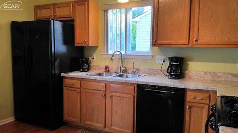 491 Windy Bluff Dr, Flushing, MI 48433 photo 8
