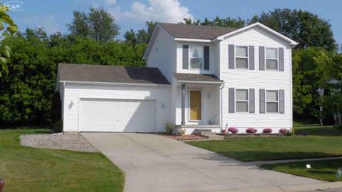 491 Windy Bluff Dr, Flushing, MI 48433 photo 23