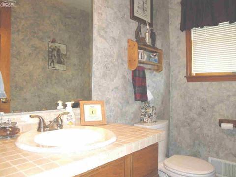 10414 E Bristol Rd, Davison, MI 48423 photo 6