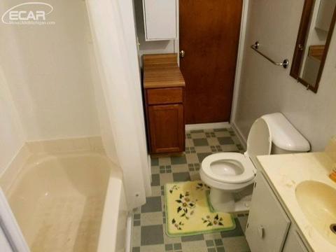 6245 Maple Rd, Vassar, MI 48768 photo 15