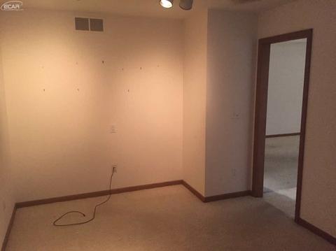 1218 Lempi Dr, Davison, MI 48423 photo 20
