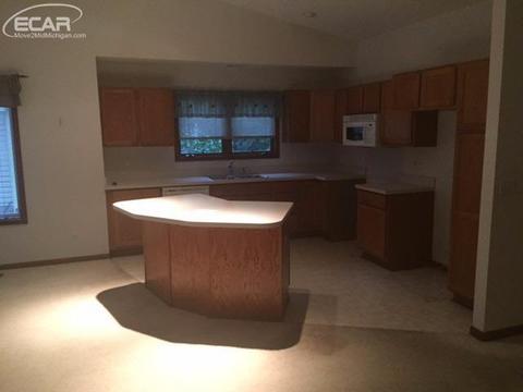 1218 Lempi Dr, Davison, MI 48423 photo 13