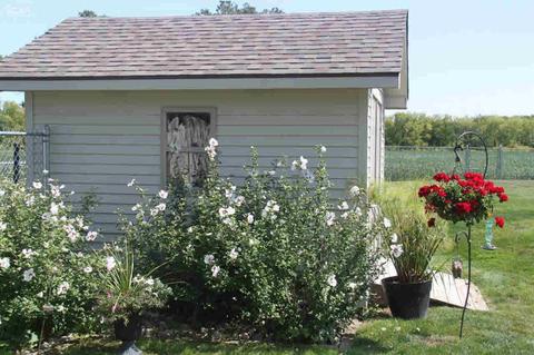 5312 Dillon Rd, Flushing, MI 48433 photo 31