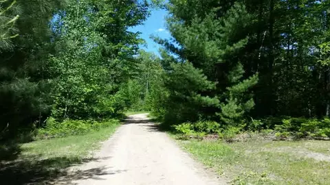 3409 M-30, Gladwin, MI 48624 photo 35
