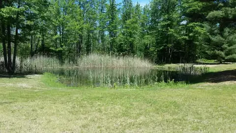 3409 M-30, Gladwin, MI 48624 photo 38