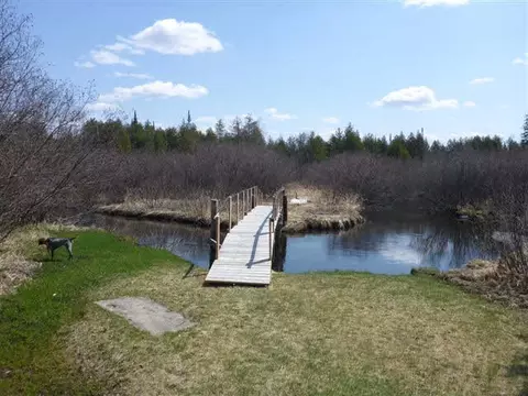 6605 Black Riv, Vanderbilt, MI 49795 photo 2