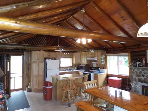 6605 Black Riv, Vanderbilt, MI 49795 photo 12