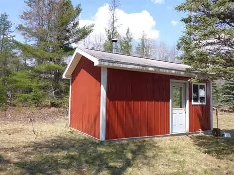 6605 Black Riv, Vanderbilt, MI 49795 photo 4