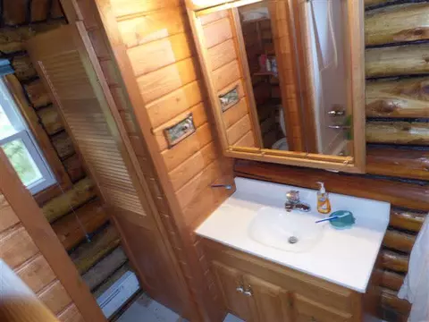 6605 Black Riv, Vanderbilt, MI 49795 photo 15