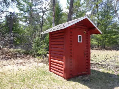 6605 Black Riv, Vanderbilt, MI 49795 photo 3