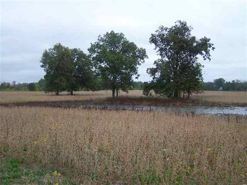 2000 Morrice Rd, Owosso, MI 48867 photo 2