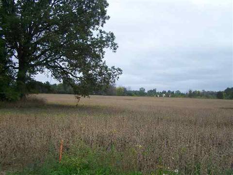 2000 Morrice Rd, Owosso, MI 48867 photo 3