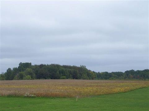 2000 Morrice Rd, Owosso, MI 48867 photo 7
