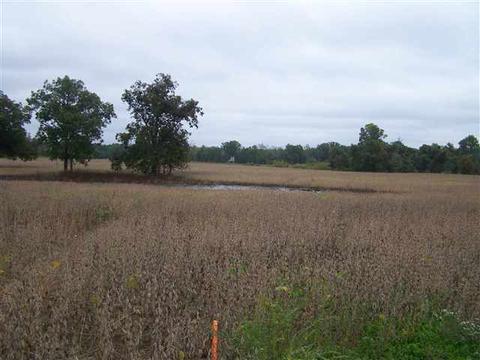 2000 Morrice Rd, Owosso, MI 48867 photo 5