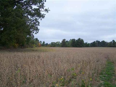 2000 Morrice Rd, Owosso, MI 48867 photo 8
