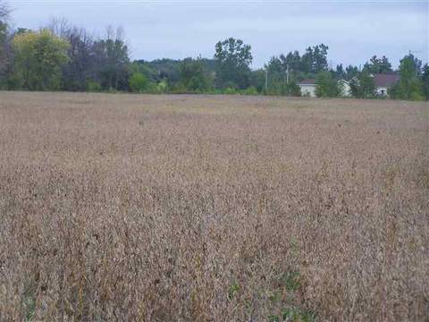 2000 Morrice Rd, Owosso, MI 48867 photo 6
