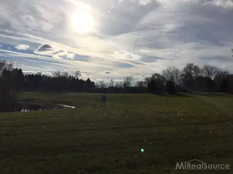 65802 Wolcott, Ray, MI 48096 photo 2