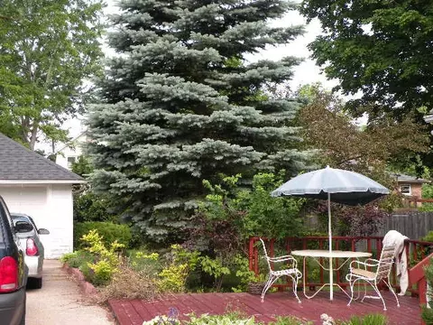 313 N Cedar, Owosso, MI 48867 photo 10