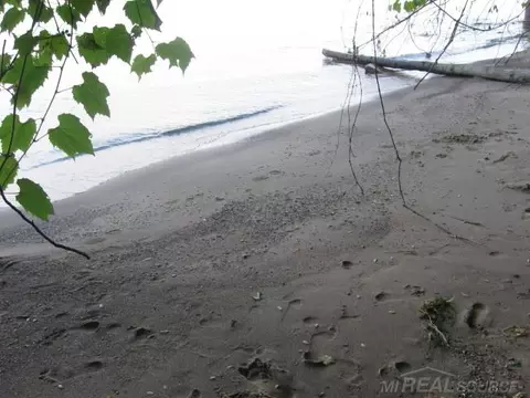 2875 Lakeshore, Applegate, MI 48401 photo 23