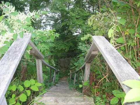 2875 Lakeshore, Applegate, MI 48401 photo 27