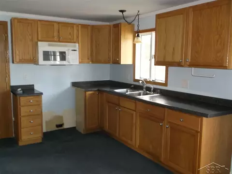 15500 Ring, Brant, MI 48614 photo 4