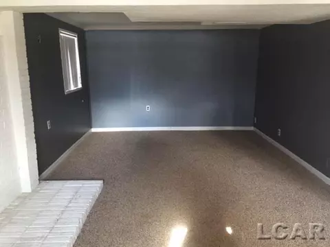 905 Park, Tecumseh, MI 49286 photo 7