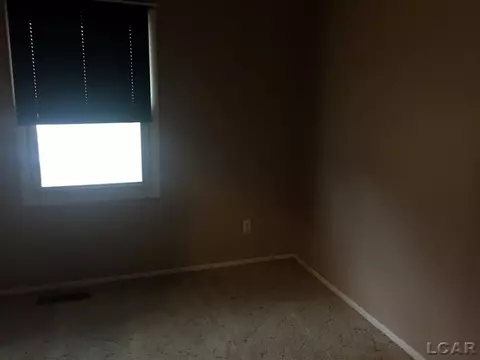 905 Park, Tecumseh, MI 49286 photo 12
