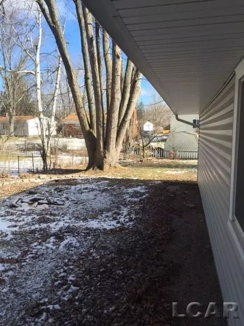 905 Park, Tecumseh, MI 49286 photo 18