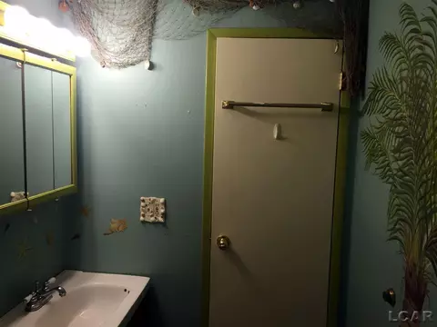 905 Park, Tecumseh, MI 49286 photo 14