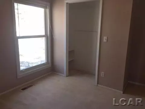 905 Park, Tecumseh, MI 49286 photo 11