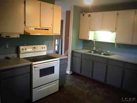 905 Park, Tecumseh, MI 49286 photo 4