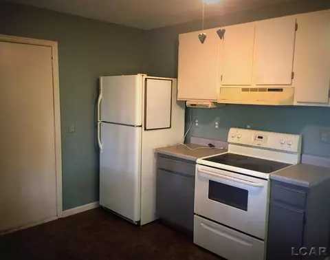 905 Park, Tecumseh, MI 49286 photo 5
