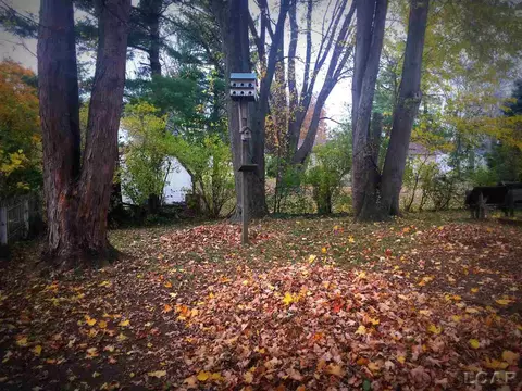 905 Park, Tecumseh, MI 49286 photo 17