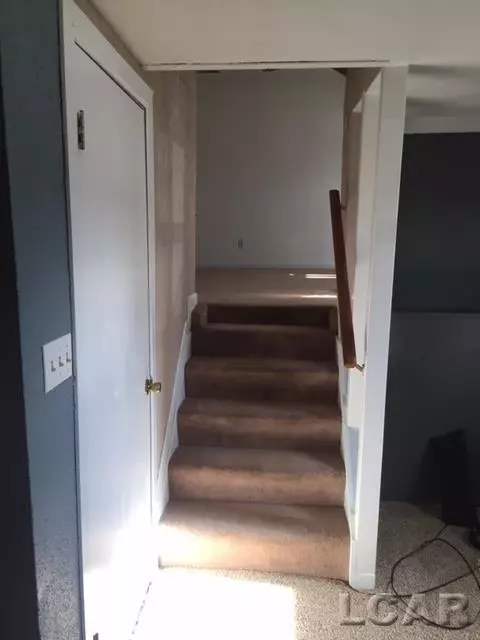 905 Park, Tecumseh, MI 49286 photo 9