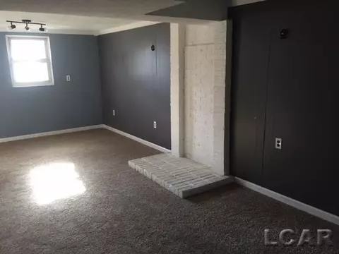 905 Park, Tecumseh, MI 49286 photo 6