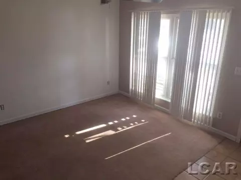 905 Park, Tecumseh, MI 49286 photo 3