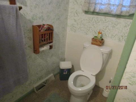 334 Prospect, Ovid, MI 48866 photo 18