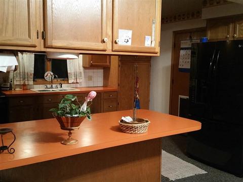 334 Prospect, Ovid, MI 48866 photo 7