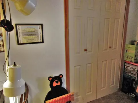 1760 Lansing, Morrice, MI 48857 photo 9