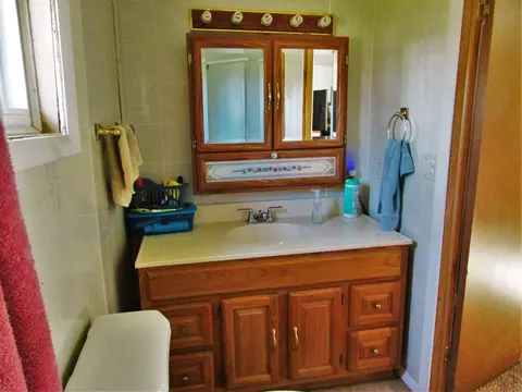1760 Lansing, Morrice, MI 48857 photo 10