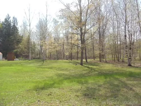 6424 Townsend, Applegate, MI 48401 photo 10
