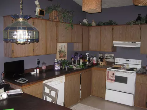 4868 Apache, Owosso, MI 48867 photo 7