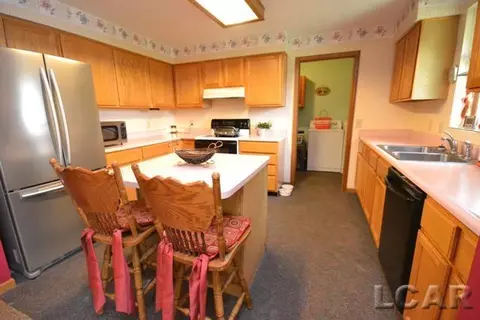 8900 E Monroe, Britton, MI 49229 photo 8