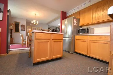 8900 E Monroe, Britton, MI 49229 photo 9