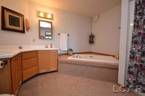 8900 E Monroe, Britton, MI 49229 photo 13