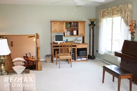 4941 Chippewa, Owosso, MI 48867 photo 25