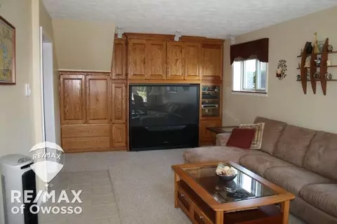 4941 Chippewa, Owosso, MI 48867 photo 24