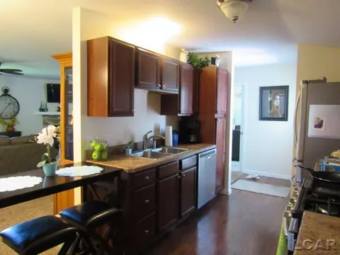 735 Alexander, Adrian, MI 49221 photo 16