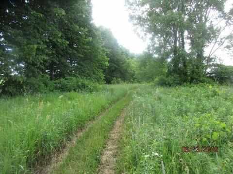 8632 Goodall Rd, Durand, MI 48429 photo 9