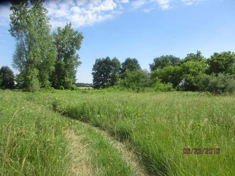 8632 Goodall Rd, Durand, MI 48429 photo 10